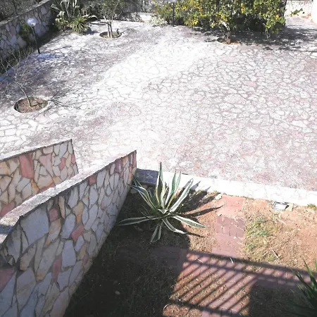 Frangipani