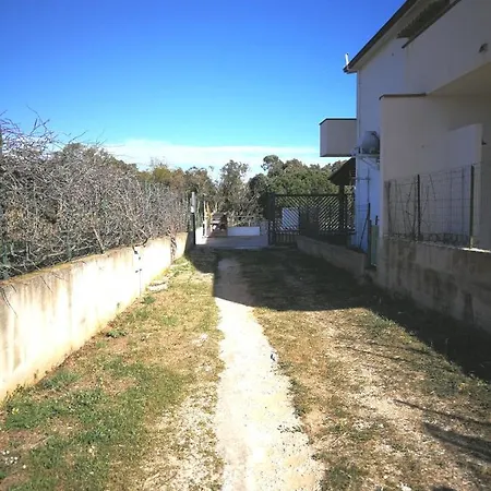 Frangipani * Alcamo Marina