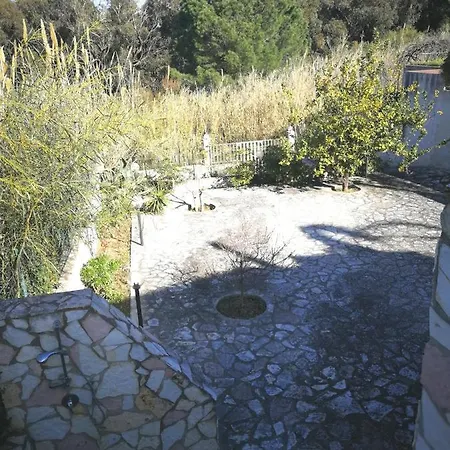 Frangipani Apartment Alcamo Marina